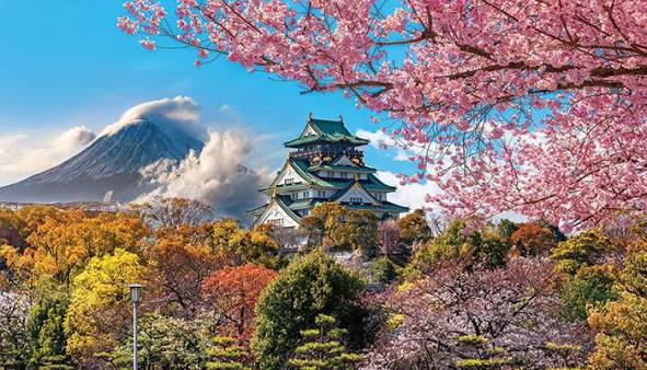 Holiday destination